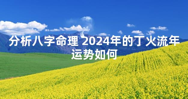 分析八字命理 2024年的丁火流年运势如何